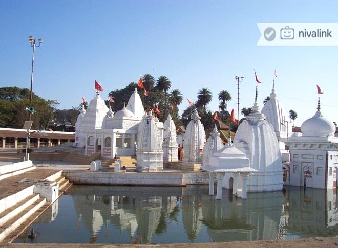 Kanha National Park Amarkantak Tour